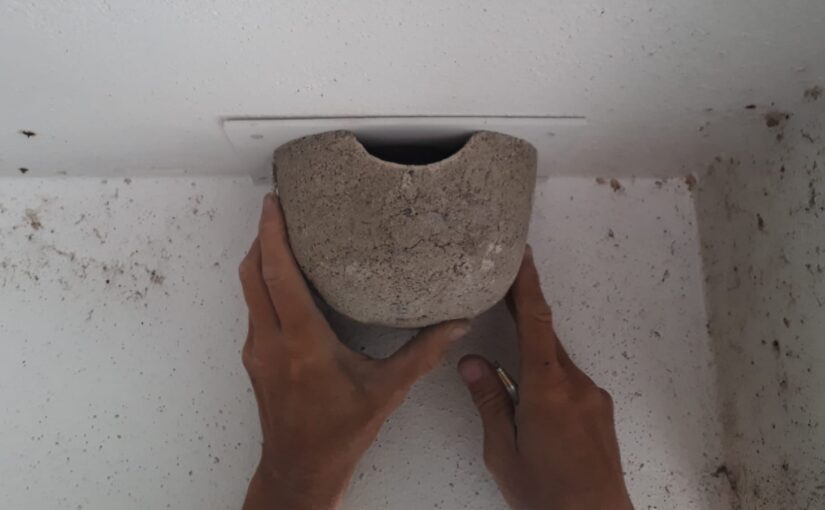 Jiřiččí věže a&nbsp;další podpora městských ptáků v&nbsp;Líšni