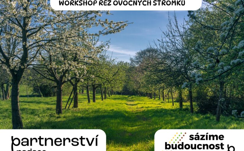 Workshop řezu ovocných stromů, Hovoranské louky, 15.3.2025