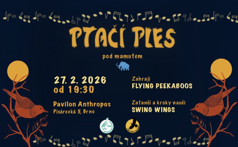 Ptačí ples 2026